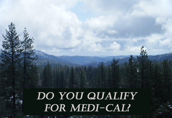 does medi cal require proof of income